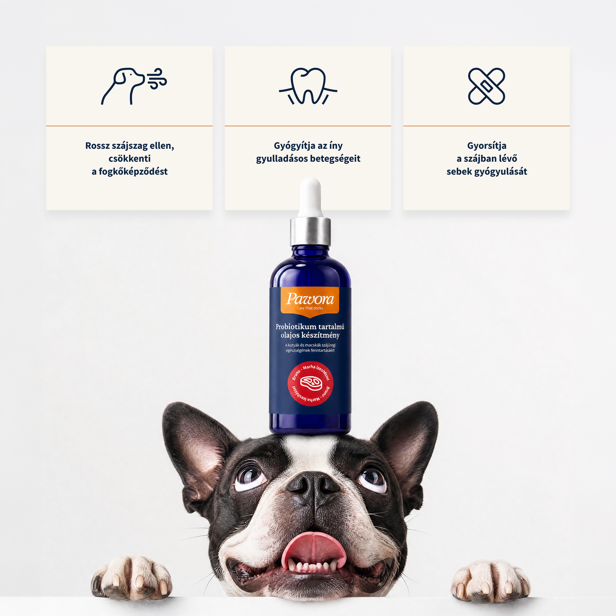 Pawora™ szájüregi ápoló olaj (100 ml)